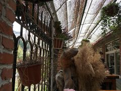 -小仙居·农家宴烤羊· 农庄