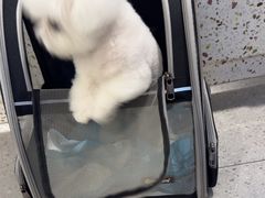 -FAELING PETS美天灵宠物(富力广场店)