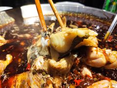 -蛙鱼道美蛙鱼自助火锅(新耍都店)