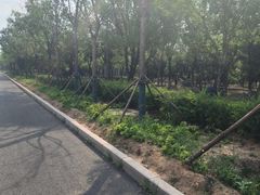 -安湃声助听器(密云店)