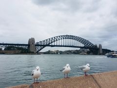 -悉尼海港大桥