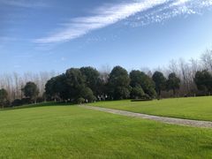 -合肥滨湖国家森林公园