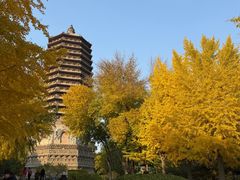 -玲珑塔公园