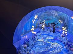 -重庆欢乐海底世界