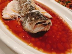 -西苑锦润私房菜-餐饮部