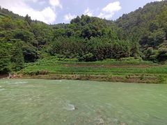 -七彩云酸水鱼(龙胜十七分店)