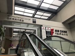 -虹桥机场国航贵宾室v8