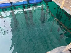 -明记海鲜大排档(巽寮湾店)