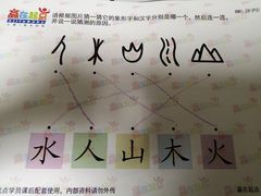 -月星环球港赢在起点早教中心·亲子托班早教体验课儿童兴趣班逻辑思维专注力幼小衔接(普陀中心)