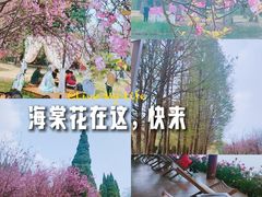 -庾园