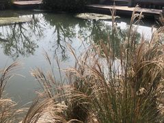 -中国湿地博物馆