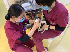 -芭比堂动物医院·犬猫全科·异宠专科(雁塔分院)
