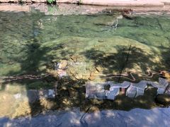 -白云源风景区