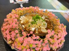 -五马集·海鲜·温州大牌档(黑金冠五马街十字路口店)