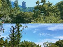 -杭州西湖柳莺里酒店·闻莺厅