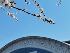 -吉林大学(南岭校区)