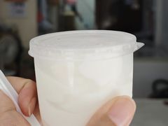 -洪馨椰子