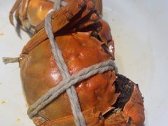 -杨氏青龙虾·羊蝎子(金盛路总店)