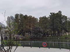 -四海公园(南山区)