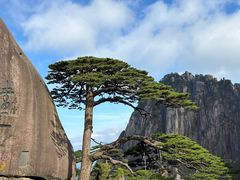 -黄山风景区