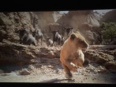 -万达影城(长沙婚庆公园中国巨幕店)