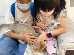-lincat·猫舍(广州店)