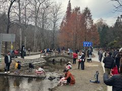 -白水寺森林公园