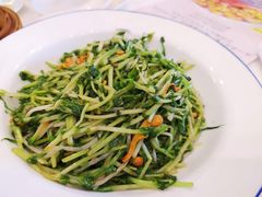 虫草花炒碧绿苗-御彩酒家(东风东路店)