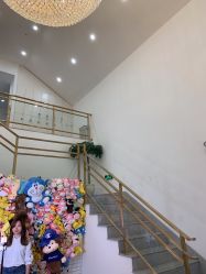 -YESIDO椰岛造型