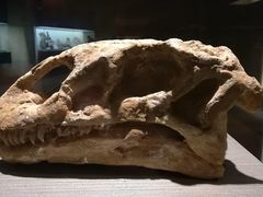 景点-世界恐龙谷景区