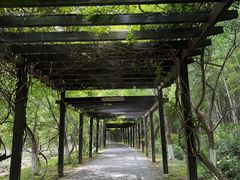 -九龙潭景区