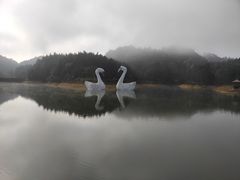 -千岛湖龙川湾