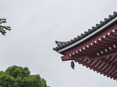 -浅草寺