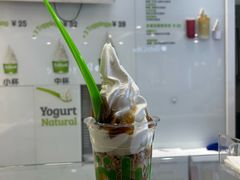 -Salud撒露欧洲冻酸奶(蓝色港湾店)