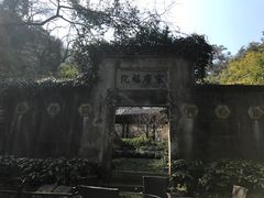 -十八棵（老龙井）御茶园(老龙井店)