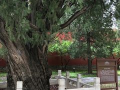 -北京市劳动人民文化宫(太庙)