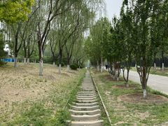 -永定河休闲森林公园