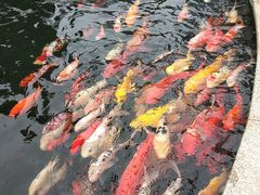 -国色天乡三期陆地乐园