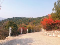 -北京西山国家森林公园