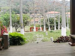 -厦门国家会计学院