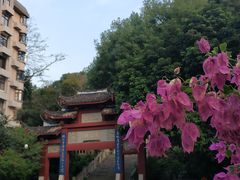 -乌山风景区