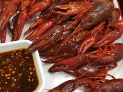 -不炭白烧烤(成都首店)