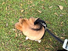 -白鹭湾湿地公园