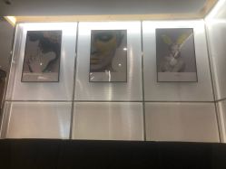 -崇尚GAVIN STYLE臻选