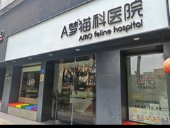 -御宝贝·A梦猫科宠物医院(国际猫友好医院)
