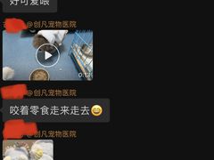 -创凡宠物医院·骨专科  猫科中心(西乡分院)