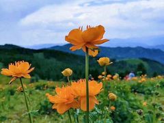 -驼梁风景区