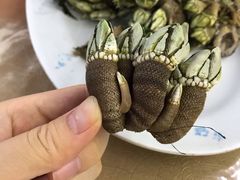 白灼狗抓螺-哈味食店(外伶仃岛店)