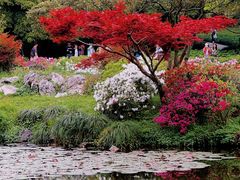 -杭州植物园