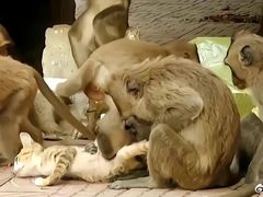 -昆明动物园